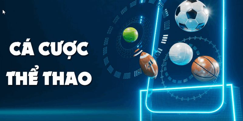 Đa dạng bộ môn thể thao cho bạn lựa chọn